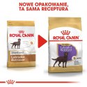ROYAL CANIN Labrador Retriever Sterilised 12kg Royal Canin