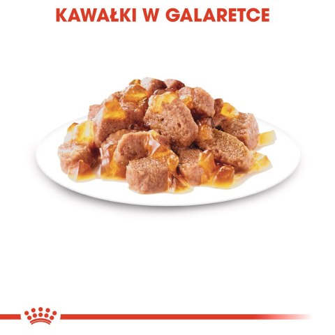 ROYAL CANIN Sterilised W Galaretce 12x85g Royal Canin