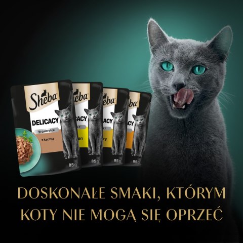 Sheba Saszetka Delicacy In Jelly Smaki Drobiowe 12x85g Sheba