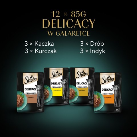 Sheba Saszetka Delicacy In Jelly Smaki Drobiowe 12x85g Sheba