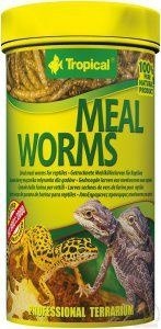 Tropical Meal Worms 250ml Tropical
