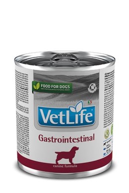 Farmina Vet Life Canine Gastrointestinal 300g Farmina