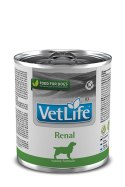 Farmina Vet Life Canine Renal 300g Farmina