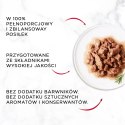 GOURMET Mon Petit Rybne Fileciki 6x50g Gourmet