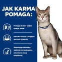 Hill's PD Prescription Diet Feline k/d Kidney Care Wołowina 85g Hills