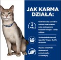 Hill's PD Prescription Diet Feline k/d Kidney Care Wołowina 85g Hills