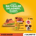 Pedigree Mokra Karma Dla Dorosłych Psów W Galaretce Z Wołowiną, Z Kurczakiem, Z Jagnięciną, Z Drobiem 12x100g Pedigree
