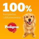 Pedigree Mokra Karma Dla Dorosłych Psów Z Kurczakiem I Warzywami W Galaretce 400g Pedigree