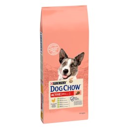 Purina Dog Chow Active Adult Z Kurczakiem 14kg Purina Dog Chow