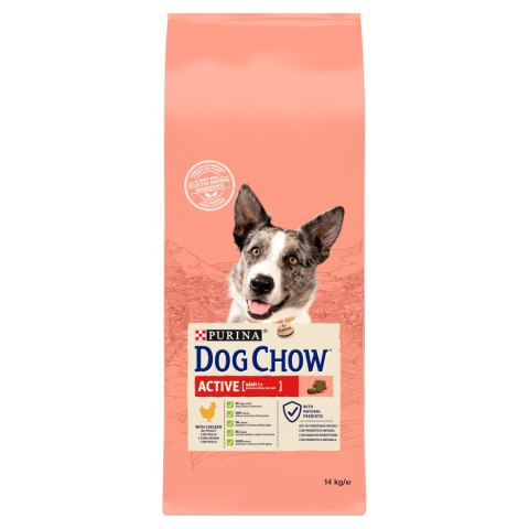 Purina Dog Chow Active Adult Z Kurczakiem 14kg Purina Dog Chow