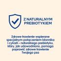 Purina Dog Chow Active Adult Z Kurczakiem 14kg Purina Dog Chow
