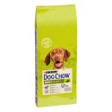 Purina Dog Chow Adult Z Jagnięciną 14kg Purina Dog Chow