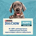 Purina Dog Chow Large Breed Puppy Z Indykiem 14kg Purina Dog Chow