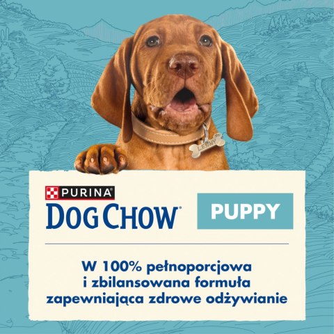 Purina Dog Chow Puppy Z Jagnięciną 14kg Purina Dog Chow