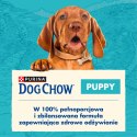 Purina Dog Chow Puppy Z Kurczakiem 14kg Purina Dog Chow