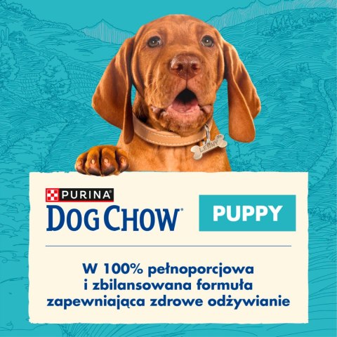 Purina Dog Chow Puppy Z Kurczakiem 14kg Purina Dog Chow