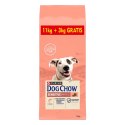 Purina Dog Chow Sensitive Adult Z Łososiem 14kg Purina Dog Chow