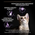 Purina Pro Plan Original Kitten Kurczak Z Ryżem 1,5kg Purina Pro Plan