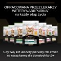 Purina Pro Plan Original Kitten Kurczak Z Ryżem 1,5kg Purina Pro Plan