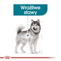 ROYAL CANIN CCN Maxi Joint Care 10kg Royal Canin