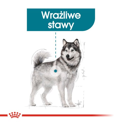 ROYAL CANIN CCN Maxi Joint Care 10kg Royal Canin