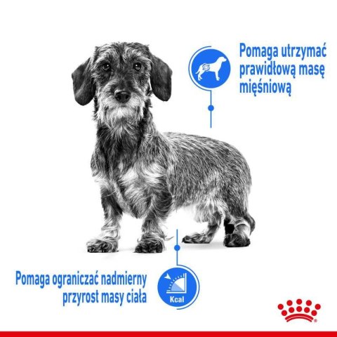 ROYAL CANIN CCN Mini Light Weight Care 8kg Royal Canin