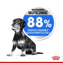 ROYAL CANIN CCN Mini Light Weight Care 8kg Royal Canin