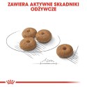 ROYAL CANIN CCN Sterilised Mini 1kg Royal Canin