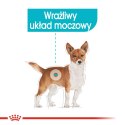 ROYAL CANIN CCN Urinary Care pasztet 12x85g Royal Canin