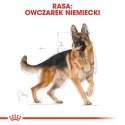 ROYAL CANIN German Shepherd Adult 11kg Royal Canin