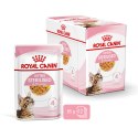 ROYAL CANIN Kitten Sterilised Gelee 12x85g Royal Canin