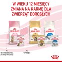 ROYAL CANIN Kitten Sterilised Gelee 12x85g Royal Canin