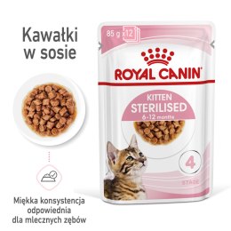 ROYAL CANIN Kitten Sterilised Sauce 12x85g Royal Canin