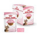 ROYAL CANIN Kitten Sterilised Sauce 12x85g Royal Canin