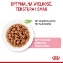 ROYAL CANIN Kitten Sterilised Sauce 12x85g Royal Canin