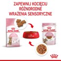 ROYAL CANIN Kitten Sterilised Sauce 12x85g Royal Canin