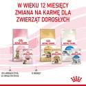 ROYAL CANIN Kitten Sterilised Sauce 12x85g Royal Canin
