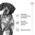 ROYAL CANIN Medium Adult 10x140g Royal Canin
