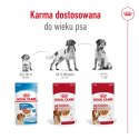 ROYAL CANIN Medium Adult 10x140g Royal Canin