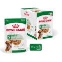 ROYAL CANIN Mini Adult 12x85g Royal Canin