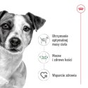 ROYAL CANIN Mini Adult 12x85g Royal Canin