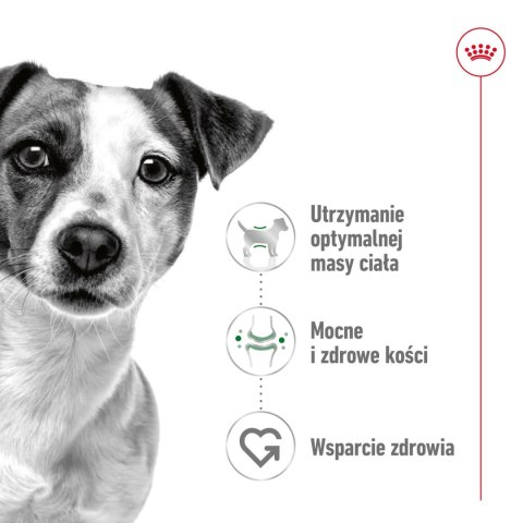 ROYAL CANIN Mini Adult 12x85g Royal Canin
