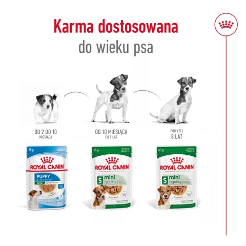 ROYAL CANIN Mini Adult 12x85g Royal Canin