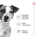 ROYAL CANIN Mini Adult 8+ 2kg Royal Canin