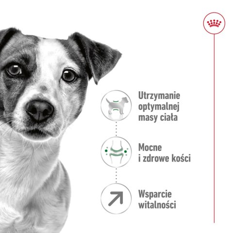 ROYAL CANIN Mini Adult 8+ 2kg Royal Canin
