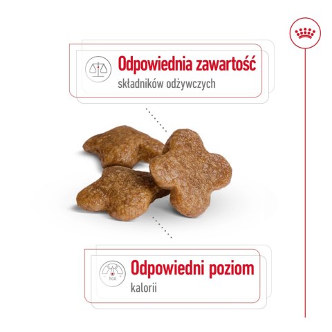 ROYAL CANIN Mini Adult 8+ 2kg Royal Canin