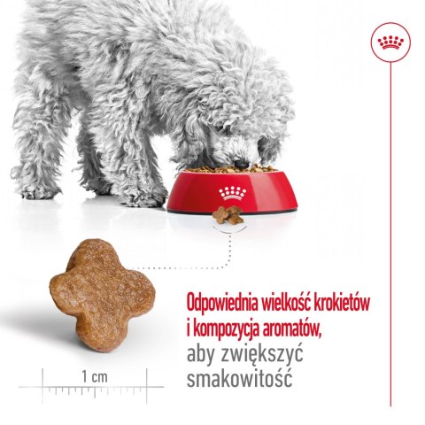 ROYAL CANIN Mini Adult 8+ 2kg Royal Canin