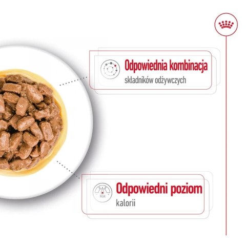 ROYAL CANIN Mini Ageing 12+ 12x85g Royal Canin