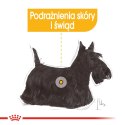 ROYAL CANIN Mini Dermacomfort 8kg Royal Canin