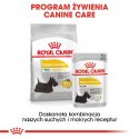 ROYAL CANIN Mini Dermacomfort 8kg Royal Canin